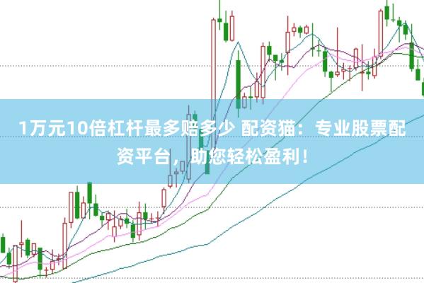 1万元10倍杠杆最多赔多少 配资猫：专业股票配资平台，助您轻松盈利！