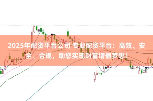 2025年配资平台公司 专业配资平台：高效、安全、合规，助您实现财富增值梦想！