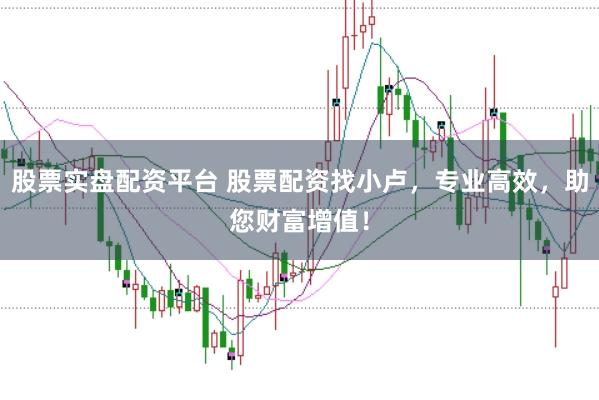 股票实盘配资平台 股票配资找小卢，专业高效，助您财富增值！