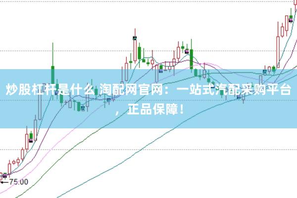 炒股杠杆是什么 淘配网官网：一站式汽配采购平台，正品保障！